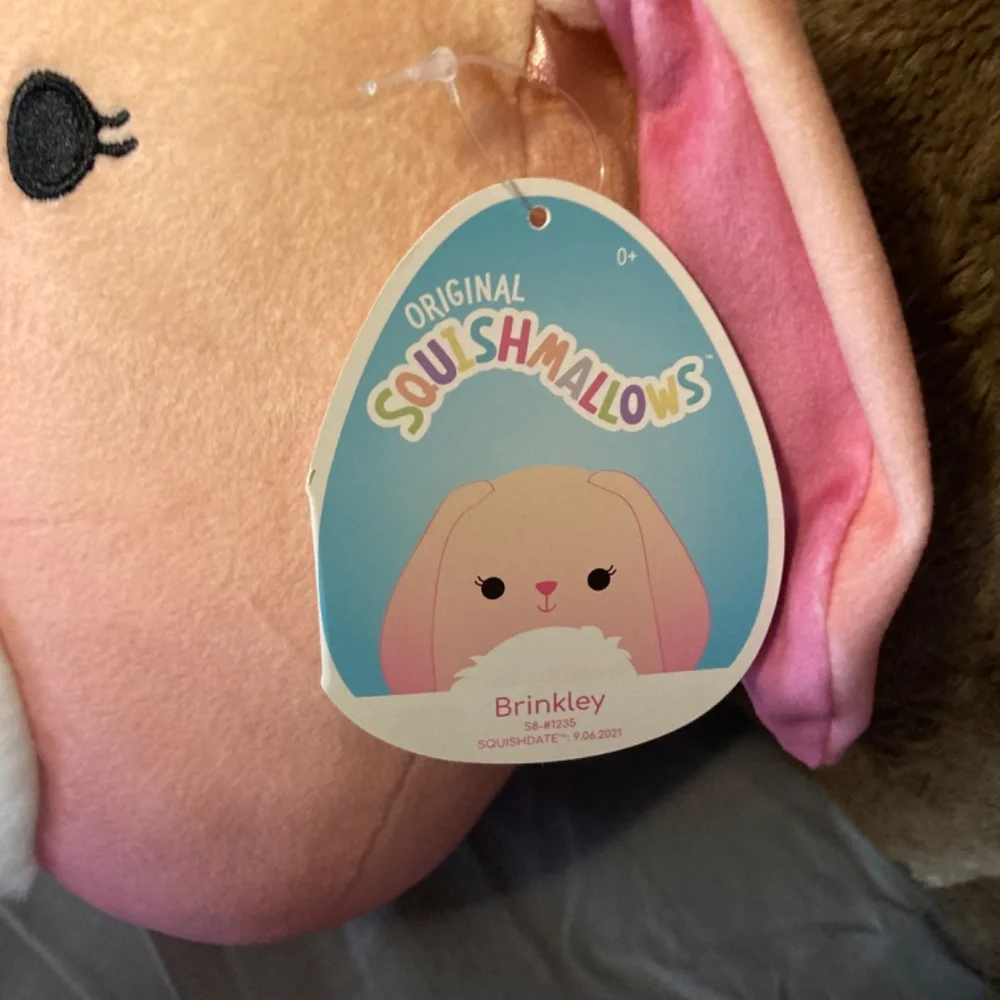 Brinkley the bunny squishmallow - Picture 2 of 7